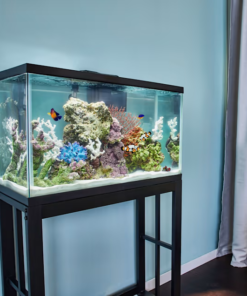 The standard Aqueon Standard Open-Glass Glass Aquarium Tank 29 Gallon is made with care to assure that it can stand up to almost