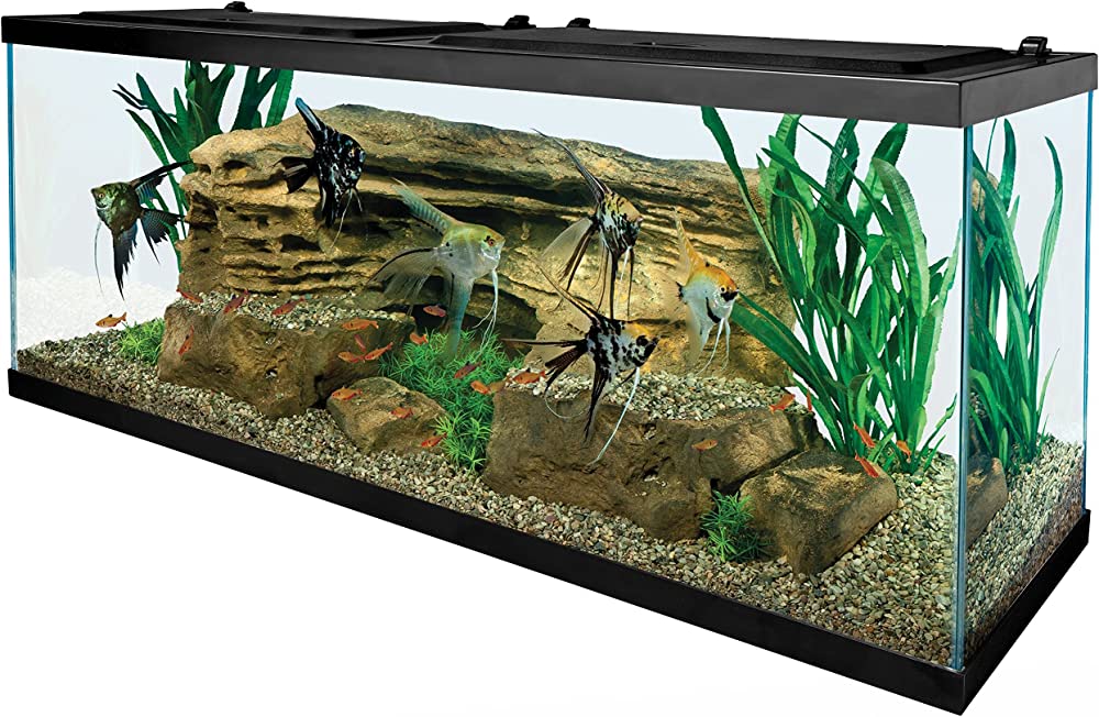 Aqueon Standard Open-Glass Glass Aquarium Tank, 55 Gallon